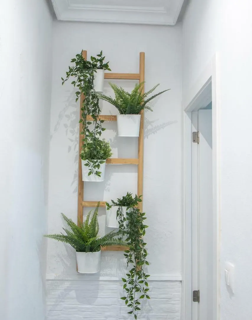 Apartamento Hercules Apartment Cadiz